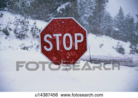 Stock Photograph - This is a stop sign after a freshly fallen snow. Fotosearch