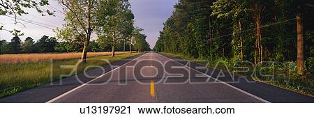 Stock Image - This is a tree lined road at sunset. Fotosearch