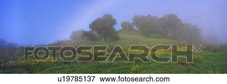 This is a white rainbow over a spring field in the Los Padres National Forest. View Large Photo Image Stock Photo - This is a white rainbow over a spring field in the Los Padres National Forest.. Fotosearch