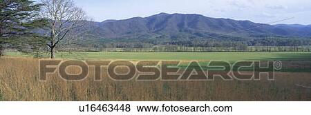Stock Photo - This is Cades Cove Pioneer settlement in the spring. Fotosearch