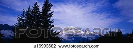 Stock Image - This is snowcapped Mt. Rainier. Fotosearch