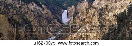 This is the Grand Canyon of Yellowstone View Large Photo Image Stock Photography - This is the Grand Canyon of Yellowstone. Fotosearch