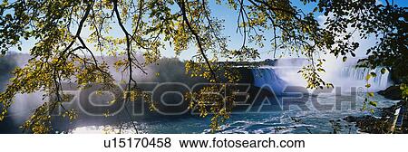 This is the Horseshoe Falls with an overhanging tree. It is the view from Canada. View Large Photo Image Stock Photo - This is the Horseshoe Falls with an overhanging tree. It is the view from Canada.. Fotosearch
