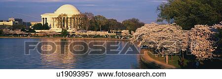 This is the Jefferson Memorial View Large Photo Image Stock Photo - This is the Jefferson Memorial. Fotosearch