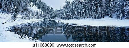 This is the Lake Tahoe area after a winter snow View Large Photo Image Stock Image - This is the Lake Tahoe area after a winter snow. Fotosearch