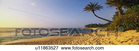 This is the north shore of the island of Oahu View Large Photo Image Stock Photo - This is the north shore of the island of Oahu. Fotosearch
