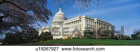 This is the U. S. Capitol in the spring with cherry blossoms View Large Photo Image Stock Photo - This is the U. S. Capitol in the spring with cherry blossoms. Fotosearch