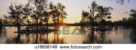 Stock Photo - This is the wildlife refuge at Lake Fausse Pointe State park at sunset. Fotosearch