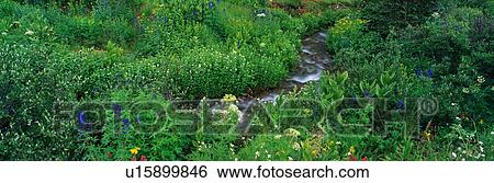 Stock Photograph - This is the Yankee Boy Basin. Fotosearch