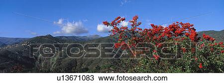 Topa Topa Mountains, Ojai, California View Large Photo Image Stock Image - Topa Topa Mountains, Ojai, California. Fotosearch