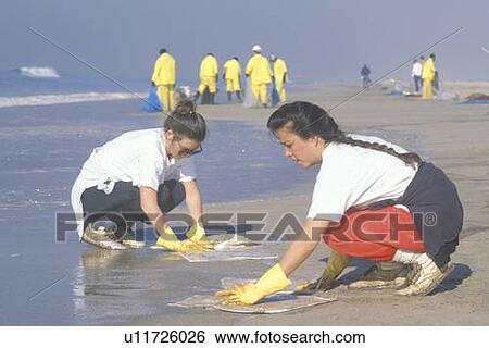 Two women participating in an environmental clean up View Large Photo Image Stock Photograph - Two women participating in an environmental clean up. Fotosearch