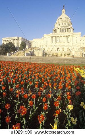 Stock Photograph - United States Capitol Building at Sunset, Washington, D. C.. Fotosearch