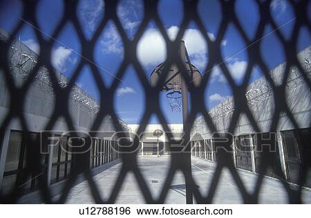 View through wire mesh of basketball court View Large Photo Image Stock Photograph - View through wire mesh of basketball court. Fotosearch