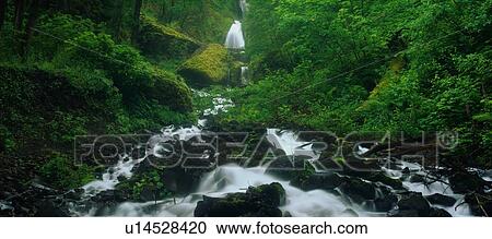 Stock Image - Wahkeena Falls. Fotosearch