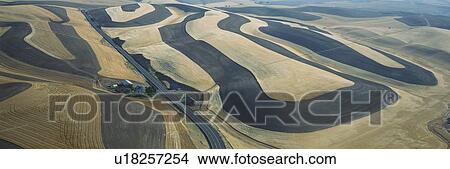 Wheat Fields and Contour Farming, S. E. Washington View Large Photo Image Picture - Wheat Fields and Contour Farming, S. E. Washington. Fotosearch
