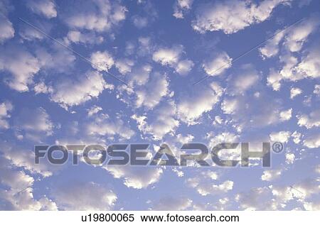 White cumulus clouds View Large Photo Image Stock Photography - White cumulus clouds. Fotosearch