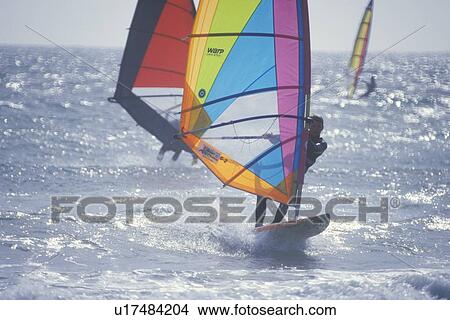 Picture - Wind Surfing. Fotosearch