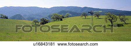 Windmill and oak trees in spring View Large Photo Image Stock Image - Windmill and oak trees in spring. Fotosearch