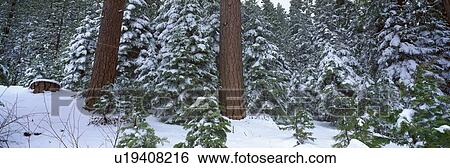Winter in the Sierra Mountains, California View Large Photo Image Stock Photograph - Winter in the Sierra Mountains, California. Fotosearch