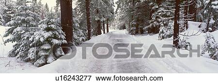 Winter Road Near Lake Tahoe, California View Large Photo Image Stock Photo - Winter Road Near Lake Tahoe, California. Fotosearch