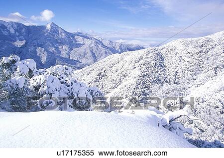 Winterscape View Large Photo Image Stock Photography - Winterscape. Fotosearch