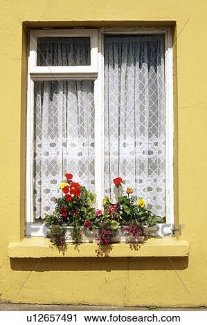 Yellow cottage window View Large Photo Image Stock Image - Yellow cottage window. Fotosearch