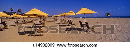 Yellow umbrellas and beach chairs View Large Photo Image Stock Photo - Yellow umbrellas and beach chairs. Fotosearch