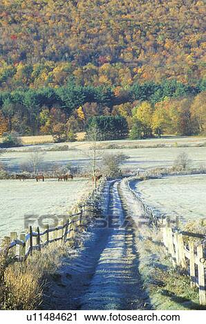 Stock Image - A dirt road with morning autumn frost in Tyringham, Massachusetts. Fotosearch