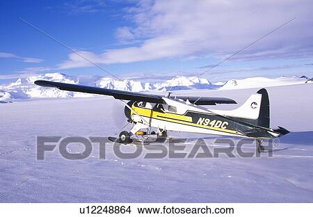 A Piper Bush airplane View Large Photo Image Picture - A Piper Bush airplane. Fotosearch