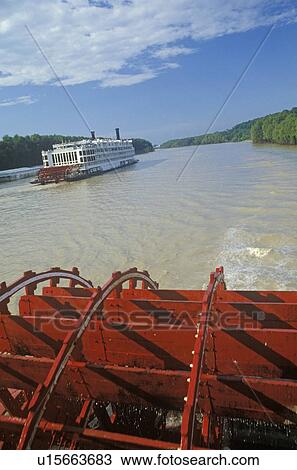 A second steamboat paddles down the Mississippi ahead of the Delta Queen's paddle wheel View Large Photo Image Stock Image - A second steamboat paddles down the Mississippi ahead of the Delta Queen's paddle wheel. Fotosearch