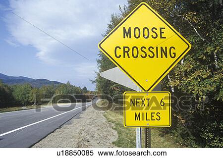 Stock Photography - A sign for moose crossing. Fotosearch