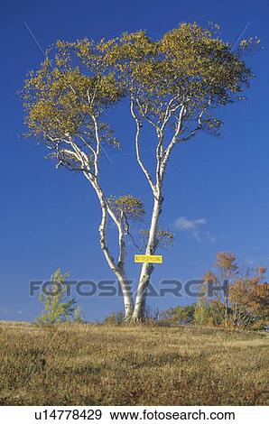 Stock Photo - A sign that reads “No trespassing”. Fotosearch