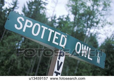 A sign that reads “Spotted Owl” View Large Photo Image Stock Photo - A sign that reads “Spotted Owl”. Fotosearch