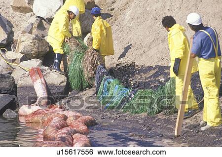 Stock Photograph - A team of environmentalists clean up an oil spill. Fotosearch