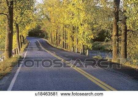 A two lane road crosses the New York-Vermont border surrounded by autumn trees View Large Photo Image Stock Image - A two lane road crosses the New York-Vermont border surrounded by autumn trees. Fotosearch