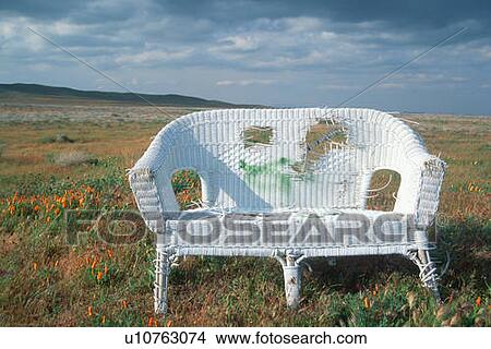 Picture - Abandoned wicker sofa in a field of poppies. Fotosearch