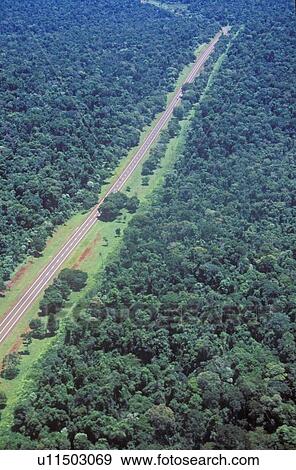 Stock Photo - Aerial view of Road Running Through Rainforest, Argentina and Brazil. Fotosearch
