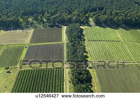 Aerials of Lewa Conservancy View Large Photo Image Stock Photo - Aerials of Lewa Conservancy. Fotosearch