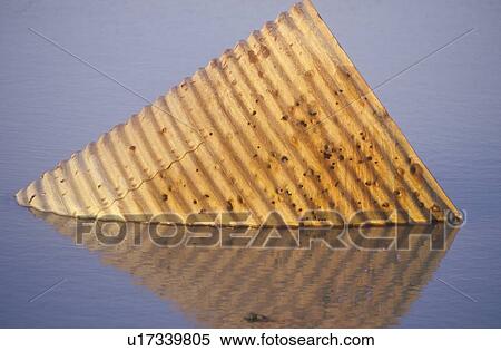 Stock Photography - An old metal canister floats in a lake in Death Valley National Monument, California. Fotosearch