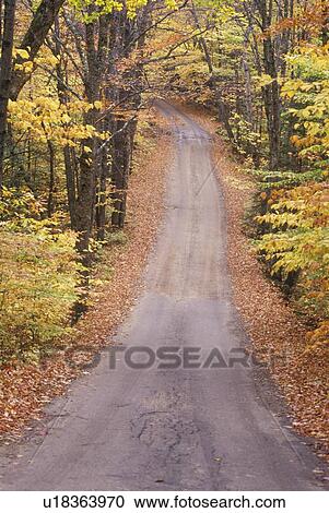 An unpaved road through the woods, Sandwich Notch Road, New Hampshire View Large Photo Image Stock Image - An unpaved road through the woods, Sandwich Notch Road, New Hampshire. Fotosearch