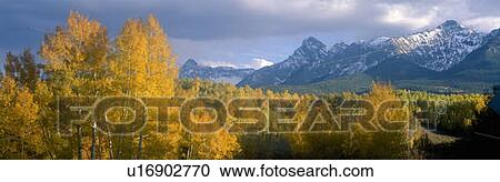 Aspens and clouds at Kebler Pass in Gunnison Nationall Forest, Colorado View Large Photo Image Stock Image - Aspens and clouds at Kebler Pass in Gunnison Nationall Forest, Colorado. Fotosearch