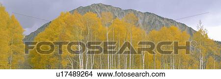 Picture - Autumn clouds at Kebler Pass, Gunnison National Forest, Colorado. Fotosearch
