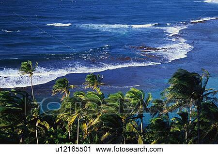 Stock Image - Beach Park on the north coast of Kauai. Fotosearch