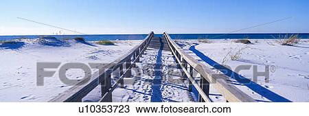 Boardwalk at Santa Rosa Island near Pensacola, Florida View Large Photo Image Stock Image - Boardwalk at Santa Rosa Island near Pensacola, Florida. Fotosearch
