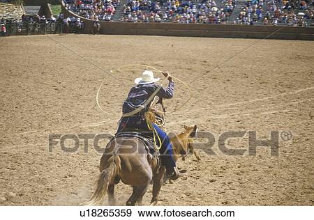 Bronco Rider View Large Photo Image Stock Photo - Bronco Rider. Fotosearch