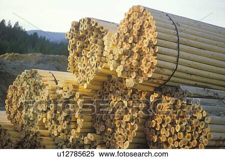 Bundled fence posts sitting in stacks at a lumber mill View Large Photo Image Stock Photography - Bundled fence posts sitting in stacks at a lumber mill. Fotosearch