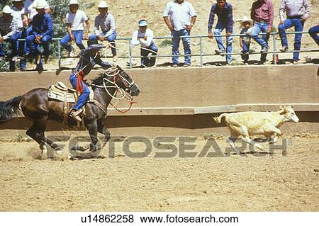 Stock Photo - Calf roping. Fotosearch