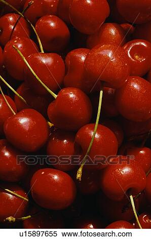 Cherries View Large Photo Image Stock Photography - Cherries. Fotosearch