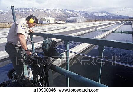 Stock Photograph - Cleaning waters at the Fish Springs Hatchery. Fotosearch