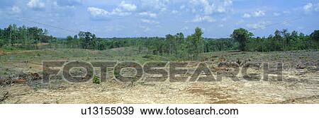 Clear cutting in the Blue Ridge Mountains, Virginia View Large Photo Image Stock Photo - Clear cutting in the Blue Ridge Mountains, Virginia. Fotosearch